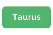 Ремонт роботов-пылесосов Taurus
